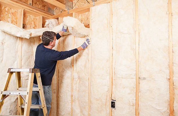 Best Radiant Barrier Insulation  in Olton, TX